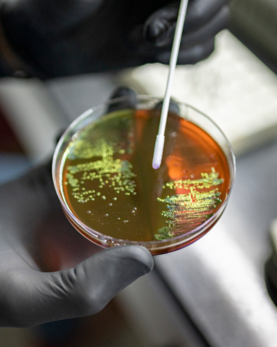 Effective Antimicrobial Agents